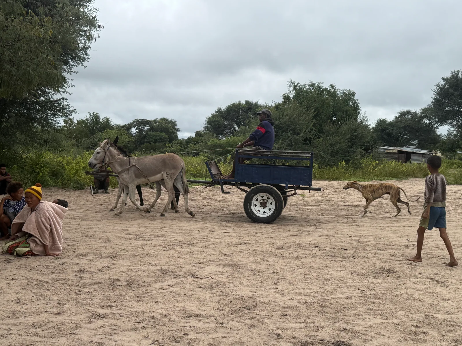 Donkeys pulling a cart beside community members and a dog on a sandy track